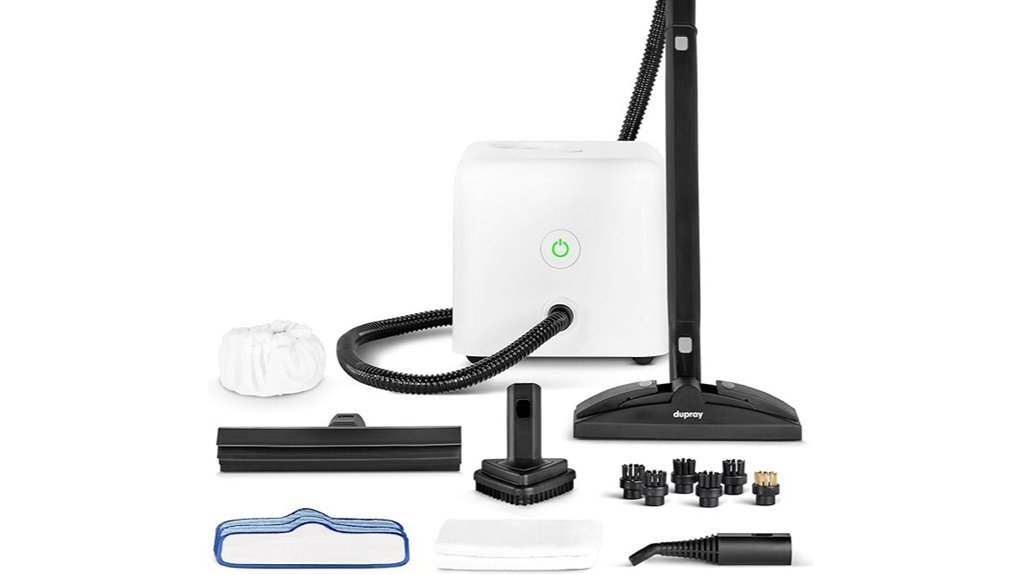 chemical free steam cleaning solution