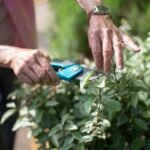 top rated gardening pruning knives