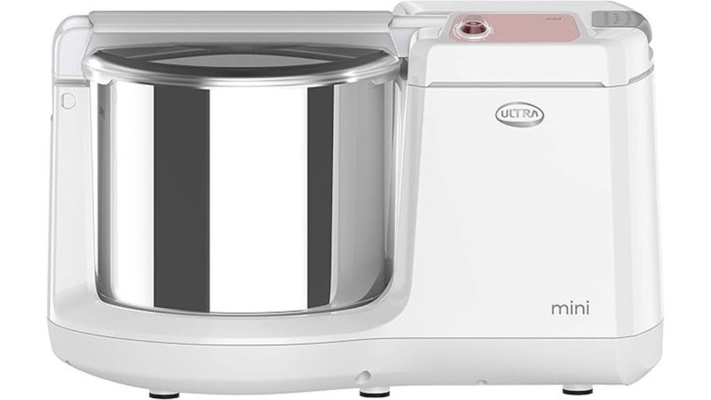 The Best Wet Grinders for Smooth Batters Every Time compact 1 25l wet grinder