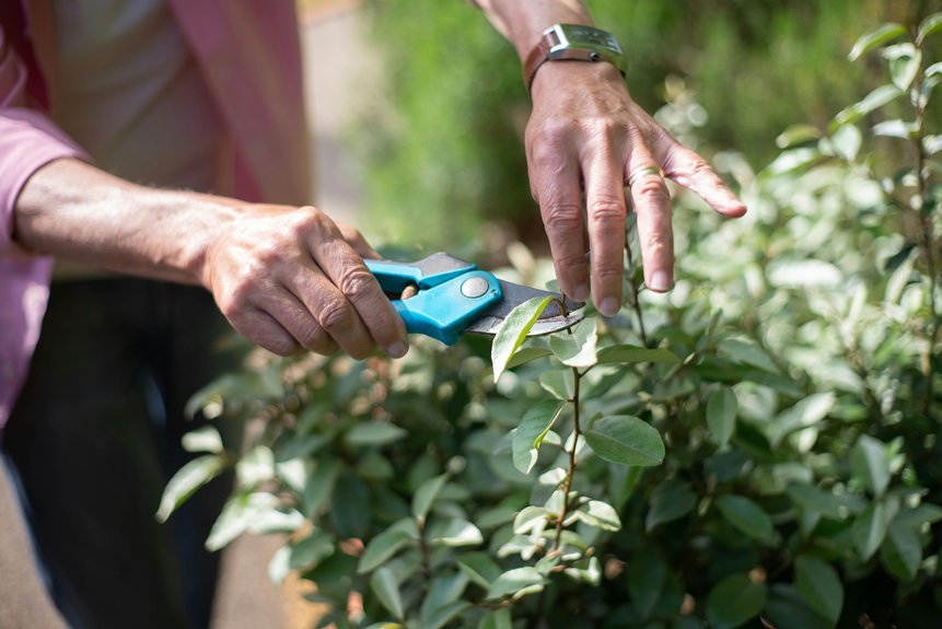 top rated gardening pruning knives