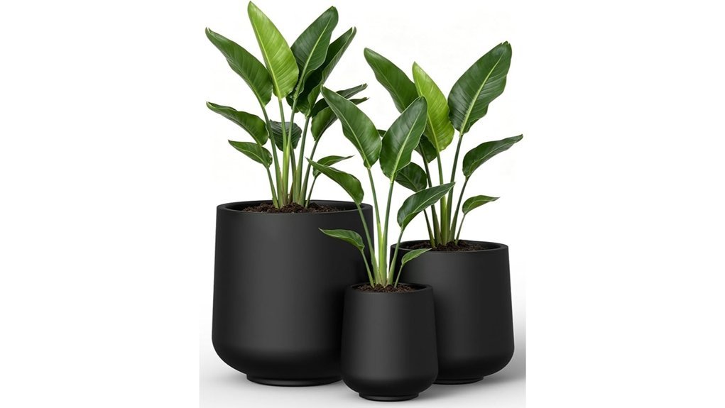 modern black concrete planters