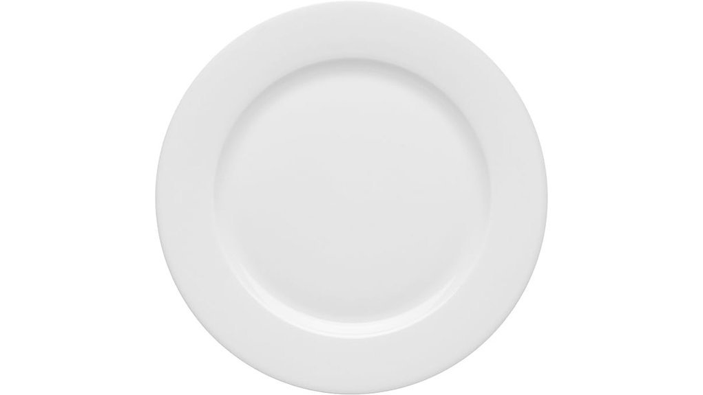 elegant porcelain dining plate