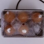compact gadget for cooking