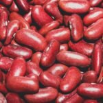 kidney friendly dog nutrition